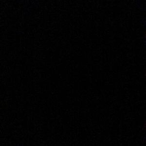 Meet your Posher, Oscar